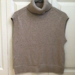 Everlane The Sleeveless Turtleneck Vest